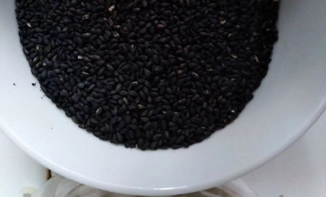 粽子学包过程,包子饺子学做