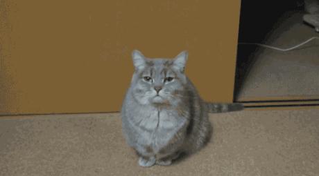 怎么调整春节后上班状态,春节后上班第一天