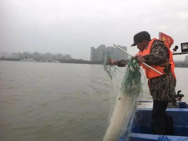 钱塘江禁渔期有多少公里长,钱塘江禁渔名单