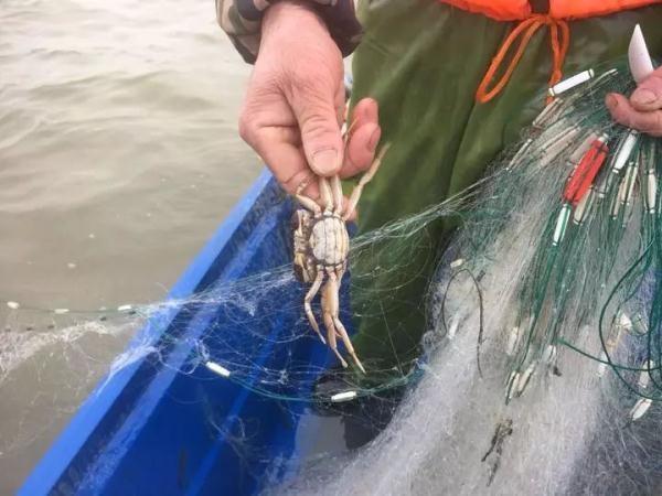 钱塘江禁渔期有多少公里长,钱塘江禁渔名单