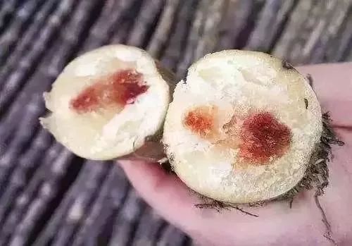 姘存灉鎭堕瓟,鎭堕瓟姘存灉