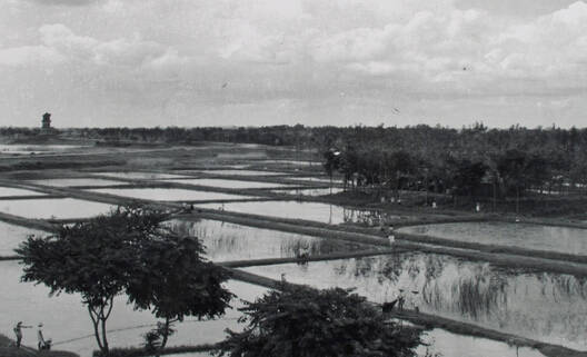 老照片100张阜阳三角洲,高清阜阳八十年代照片