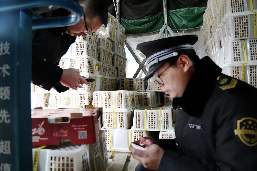 好嗨呦！万万没想到，这个春节襄阳食药监人是这么过的……