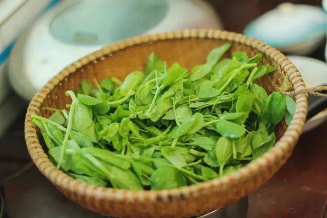 德阳人的素质有哪些,四川德阳人真实生活