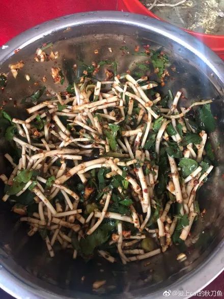 美食｜贵阳不光是辣味的，还有一种味道叫折耳根！