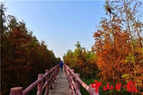 中山免费公园一览表,中山最美的免费公园