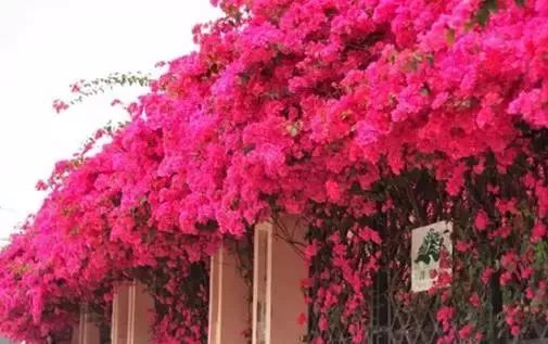 中山免费公园一览表,中山最美的免费公园