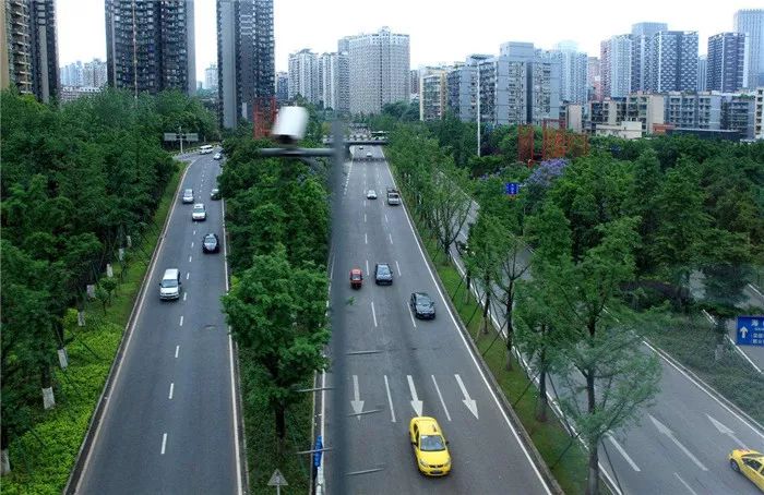 道路景观绿化带设计方案,道路绿化带设计平面图手绘