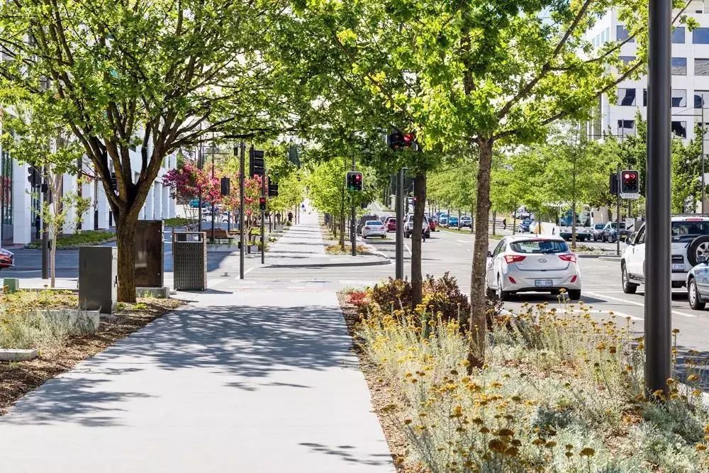 道路景观绿化带设计方案,道路绿化带设计平面图手绘