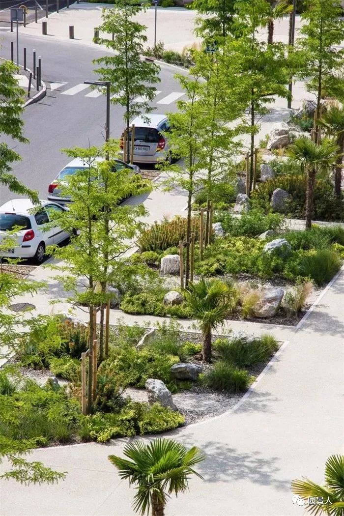 道路景观绿化带设计方案,道路绿化带设计平面图手绘