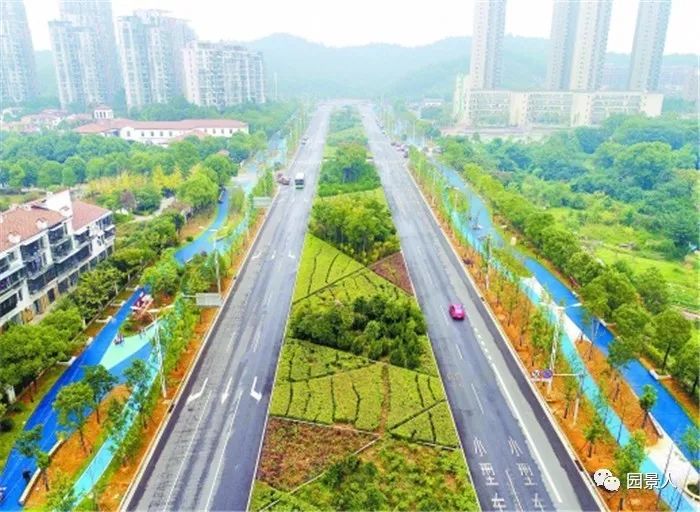 道路景观绿化带设计方案,道路绿化带设计平面图手绘