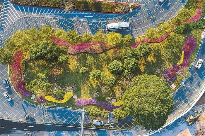 道路景观绿化带设计方案,道路绿化带设计平面图手绘