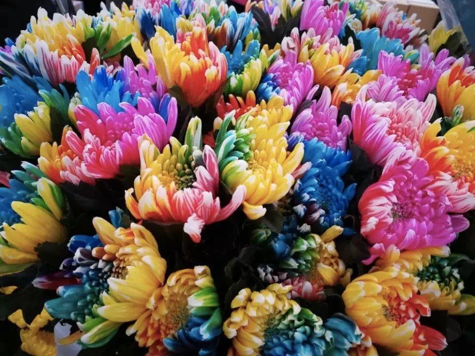 给你一份开远旅游打卡推荐！