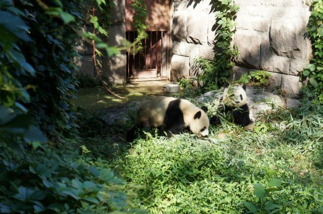 北京免费亲子游景点,北京适合1-2岁亲子游的地方