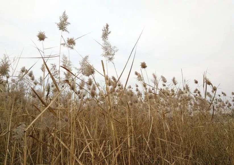 北京哪些景点未成年人免费,北京郊区免费景点推荐