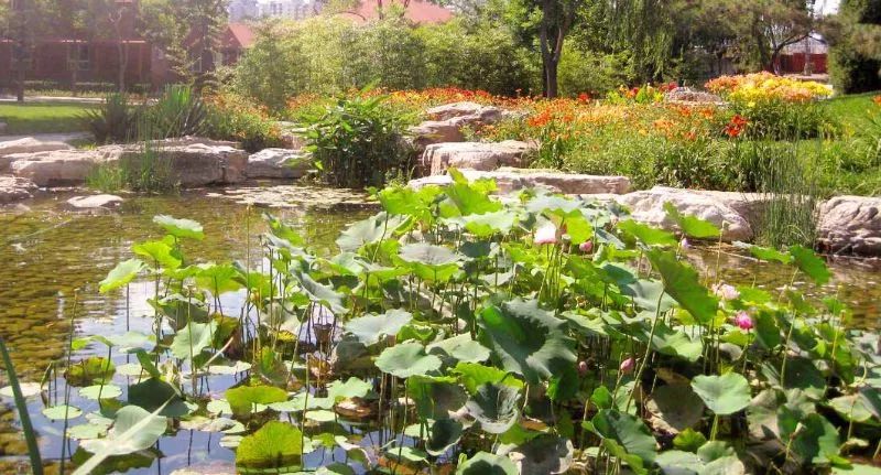 北京哪些景点未成年人免费,北京郊区免费景点推荐