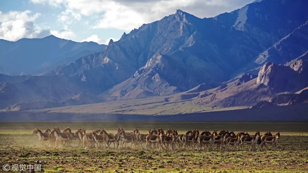 推荐冷知识书籍,20个颠覆你认知的法律冷知识