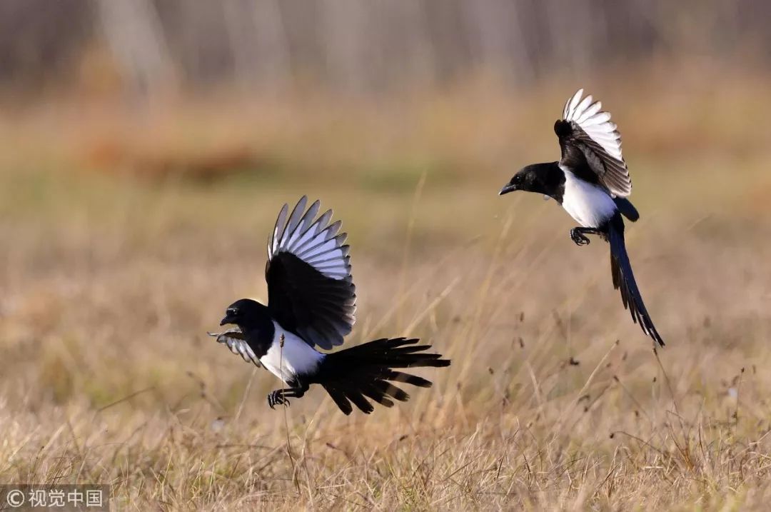 推荐冷知识书籍,20个颠覆你认知的法律冷知识