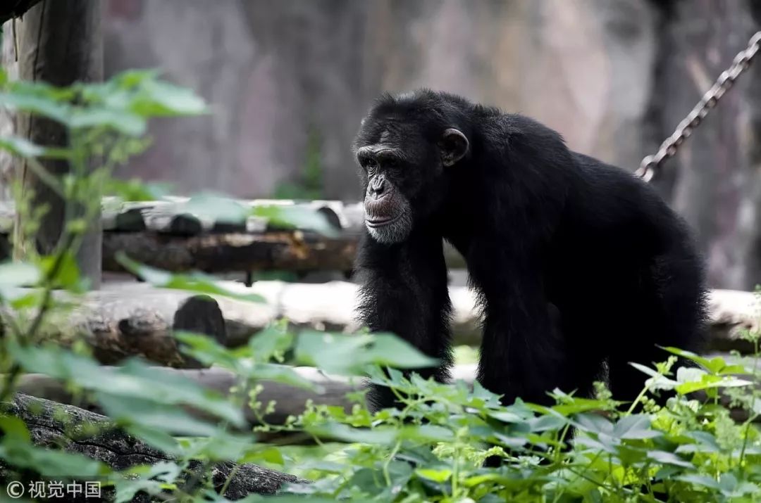 推荐冷知识书籍,20个颠覆你认知的法律冷知识