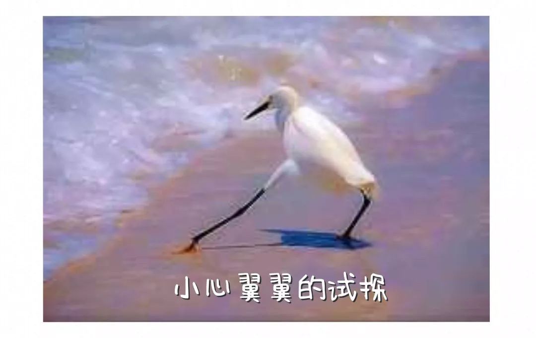 微信转账错了对方未领取怎么追回,手机银行转账转错了怎么退回来啊