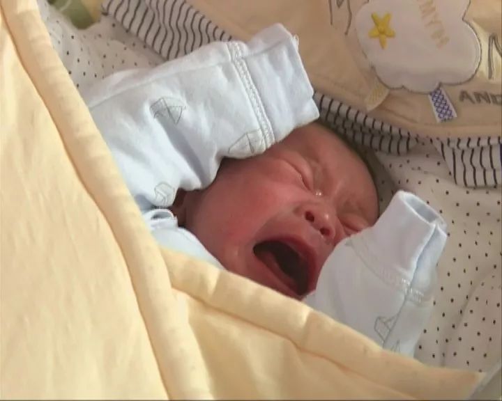 从古至今属猪的名人,属猪的历史名人