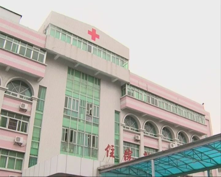 从古至今属猪的名人,属猪的历史名人