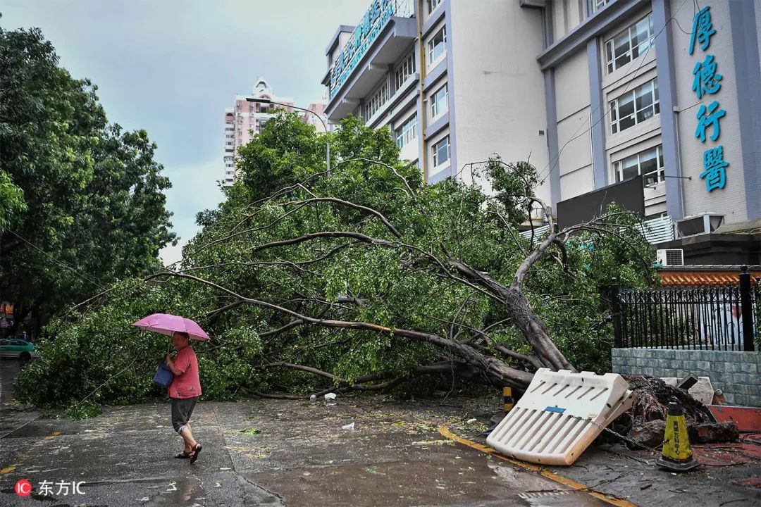 钟振彬：在俄罗斯，我真的拼了命｜东方IC摄影师自选辑