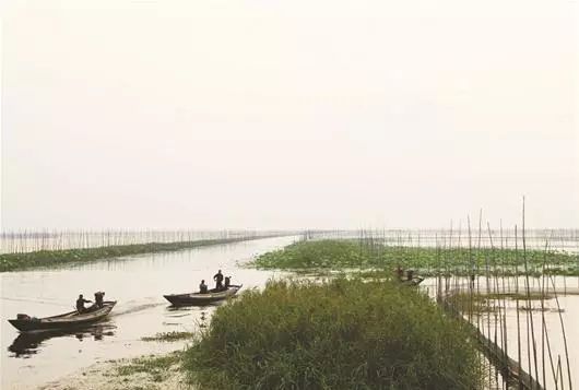 洪湖赤卫队这一仗打得真漂亮,这就是监利