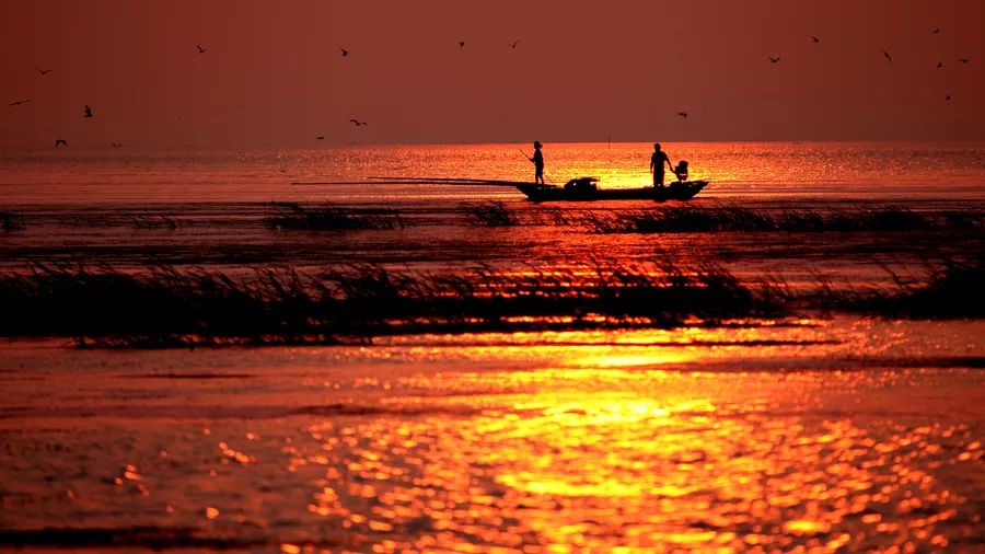 洪湖赤卫队这一仗打得真漂亮,这就是监利
