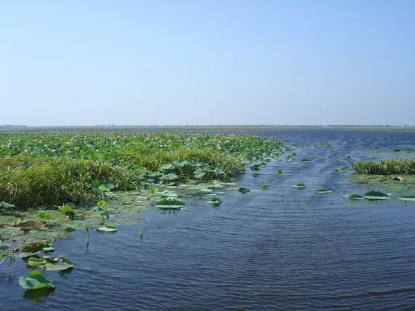 洪湖赤卫队这一仗打得真漂亮,这就是监利