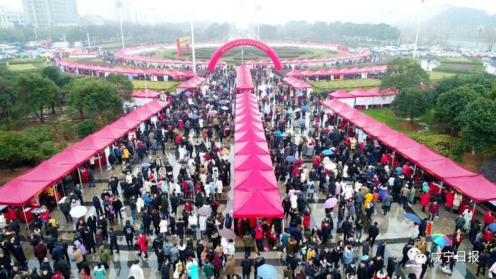 求职不用去远方家乡就是好地方,春风行动助力新年求职路