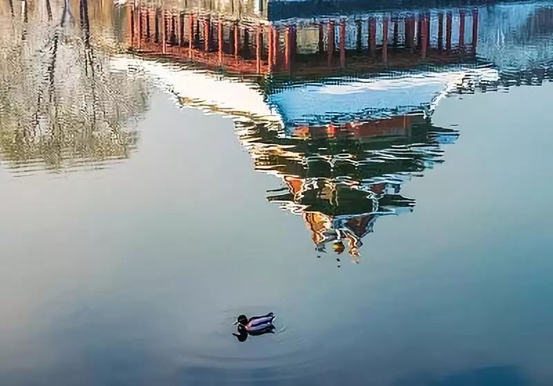 夜读在人生的低谷中安然前行,夜读人生其实很简单别总是逼自己