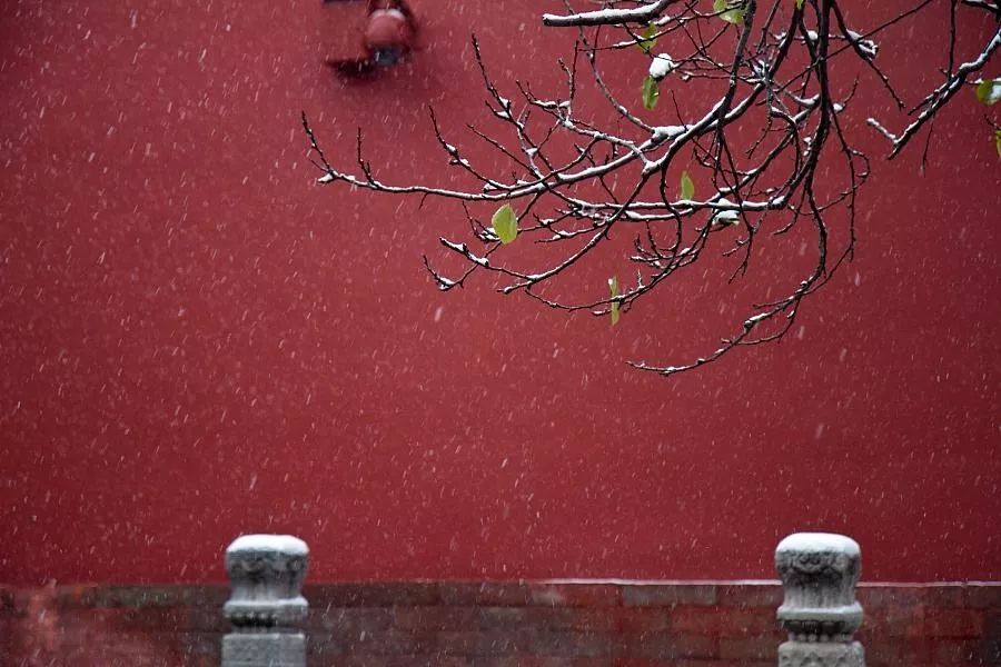 夜读在人生的低谷中安然前行,夜读人生其实很简单别总是逼自己