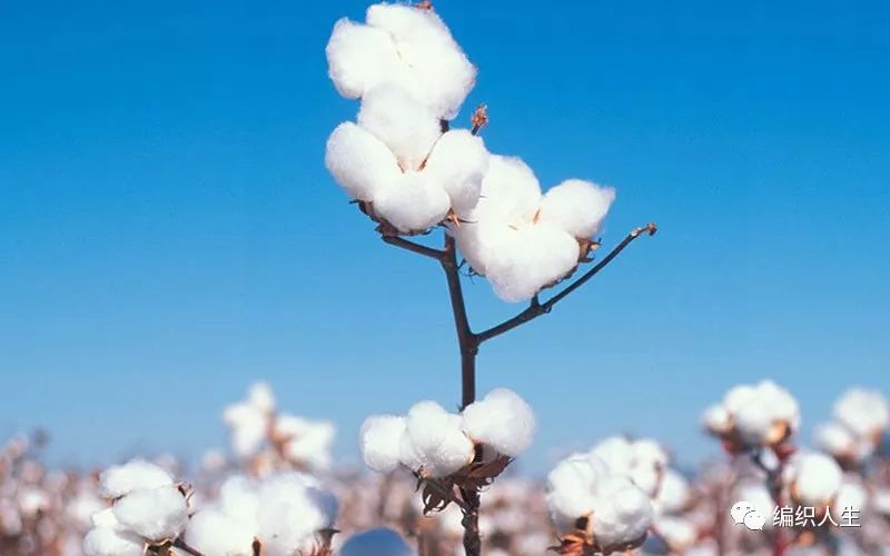 复发性口腔溃疡的特效药,治疗口腔溃疡一个药片就能搞定