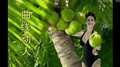 海南椰树集团品牌,椰树集团的品牌