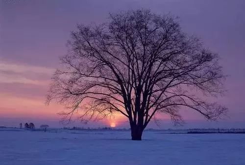 悲喜交接打一字,悲喜交集