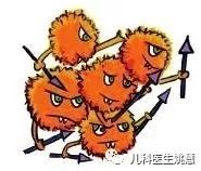 肺炎常见的病原体是什么,肺炎病菌有几种