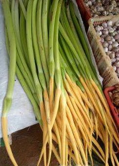 春天吃花要注意！吃错会中毒，头晕恶心呕吐，每年都有人中招