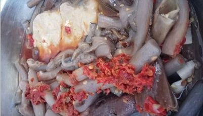 春天吃花要注意！吃错会中毒，头晕恶心呕吐，每年都有人中招