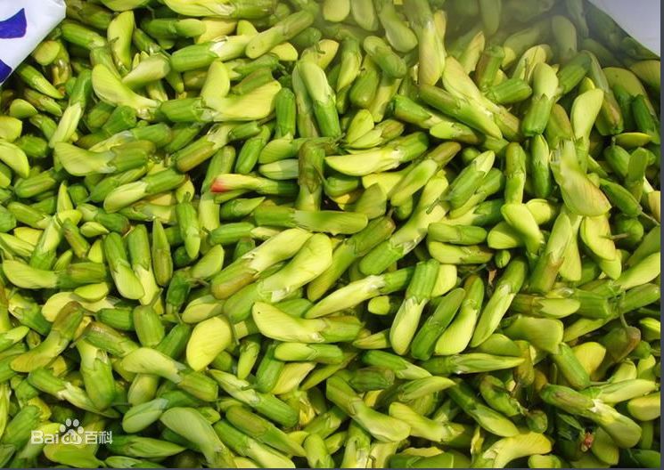 春天吃花要注意！吃错会中毒，头晕恶心呕吐，每年都有人中招