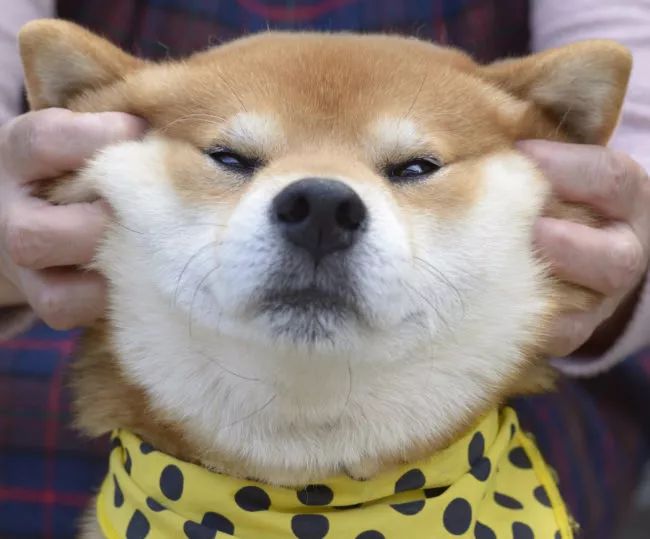 东京举行反浪漫资本主义*行游**，日本又在情人节搞事情