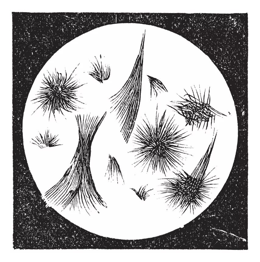 实用sci论文图表绘制,sci论文流程图用什么软件最好