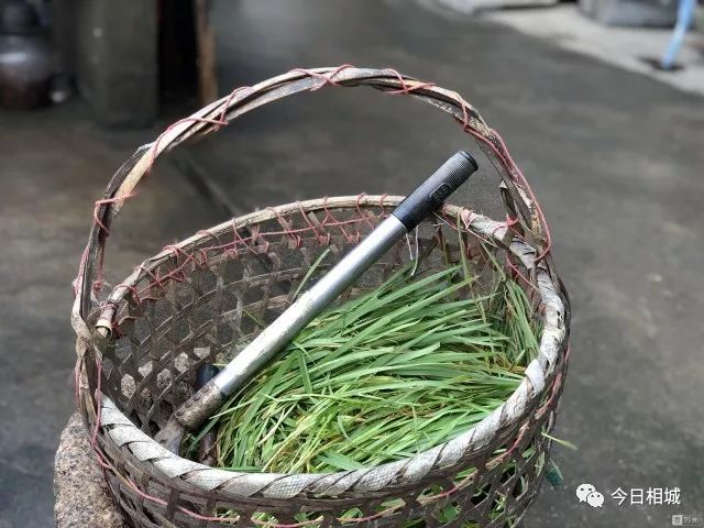 黑芝麻蛋黄肉松软糯香甜的青团子,苏州哪里的青团子比较好吃啊