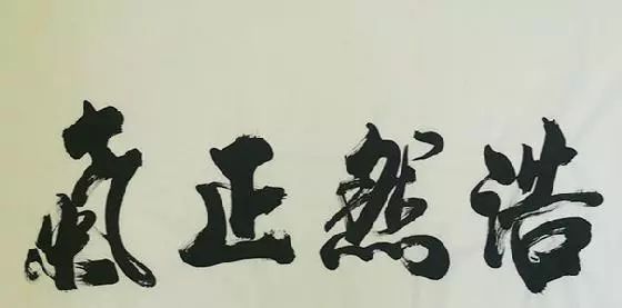 论孟子的浩然之气与大丈夫人格,孟子的大丈夫观点是否正确