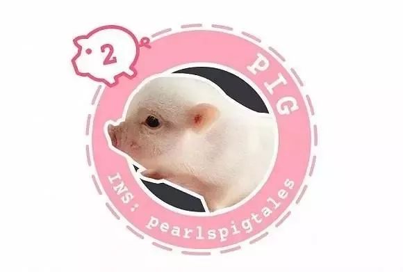 「招聘启事」武汉消防视频团队招人啦！影视专业的朋友们看过来！