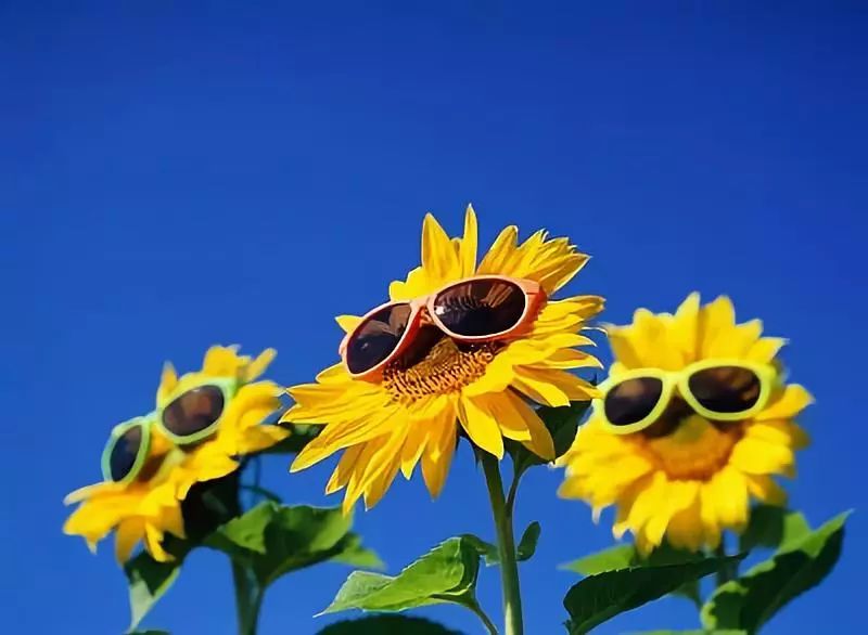 人生三福吃得下睡得着笑得开,人生三福吃得下