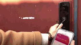 自己出门旅游,房子在家“上班”!杭州妹子全家出境旅游,空房一晚进账千元搞定旅费!