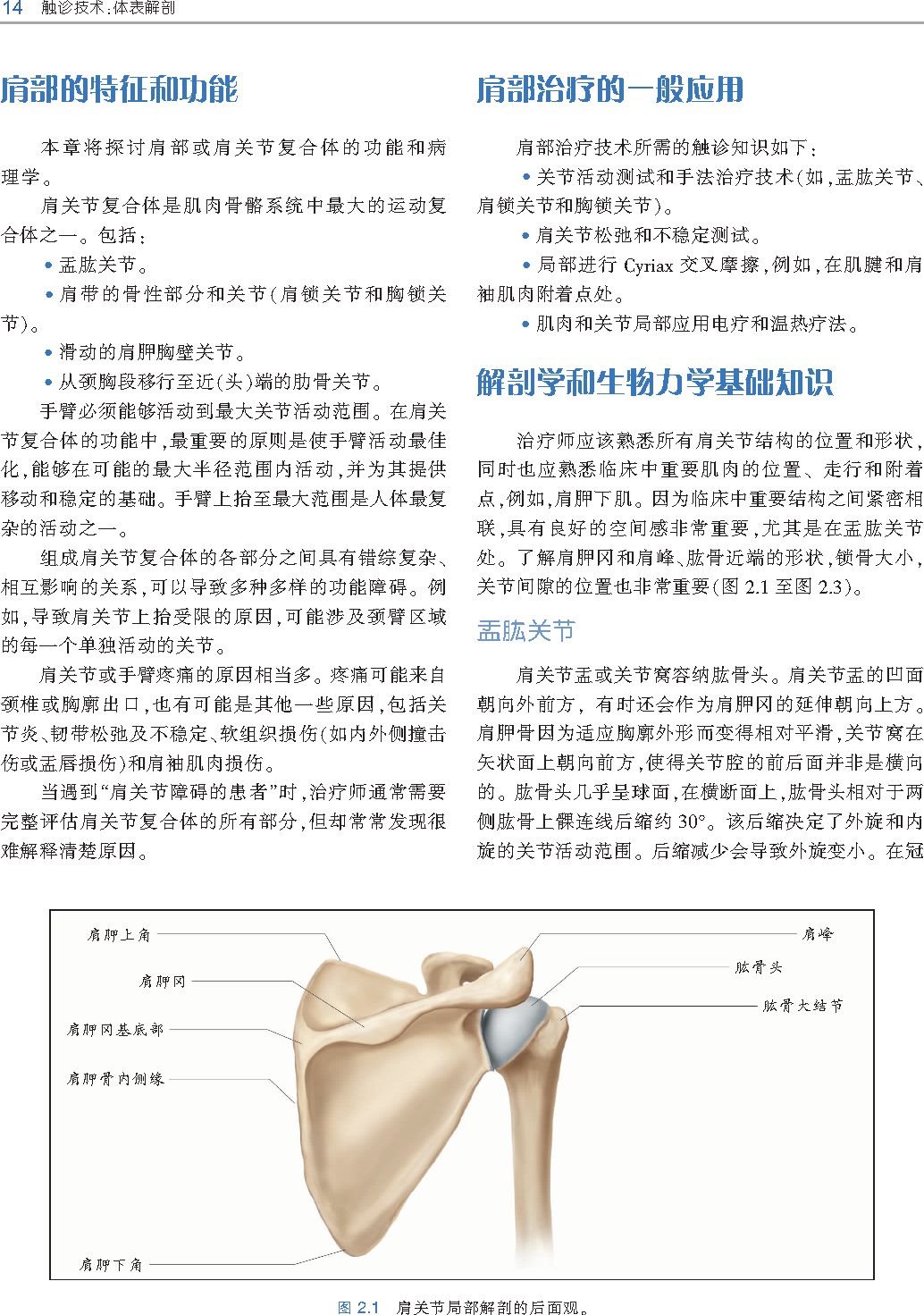 好书推荐|《触诊技术》---李哲人体科学团队---开年首发