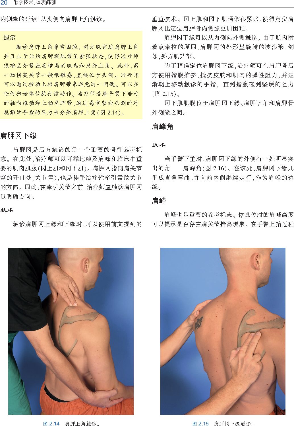 好书推荐|《触诊技术》---李哲人体科学团队---开年首发