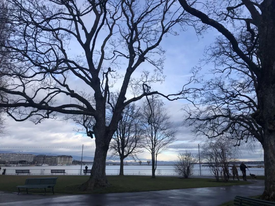 买房子就像谈恋爱一样,像谈恋爱一样做销售